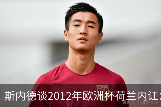 斯内德谈2012年欧洲杯荷兰内讧：亨特拉尔和范博梅尔酒后干了起来